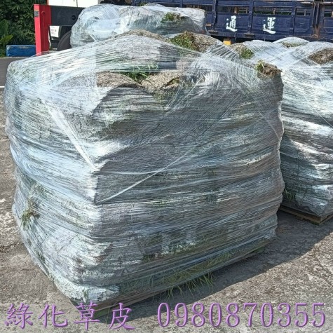 彰化草皮買賣,草皮買賣,台中草皮買賣