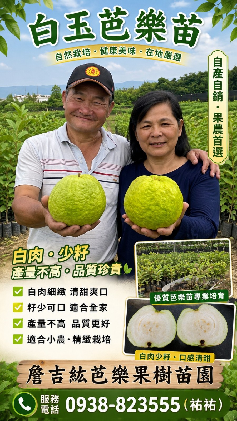 白玉芭樂苗
